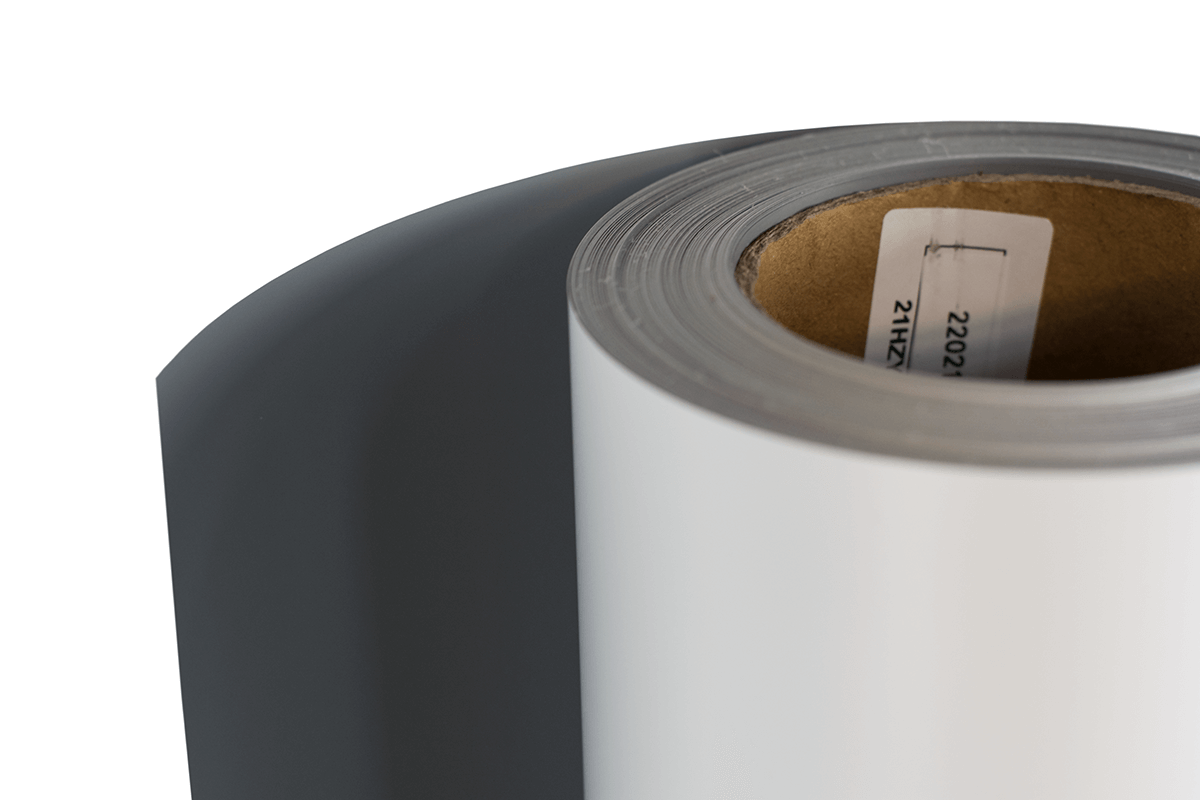 PET BLOCKOUT - Image 2